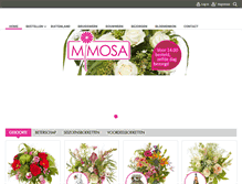 Tablet Screenshot of bloemsierkunstmimosa.nl